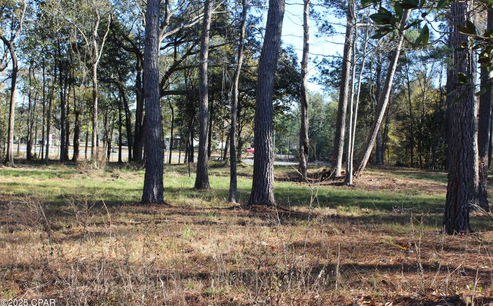 Pictures of Land property located at 000 Sr-79, Vernon, FL 32462 for sales - image #1