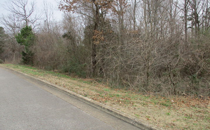Pictures of Land property located at 24 Stonehedge Drive, Lexington, TN 38351 for sales - image #1