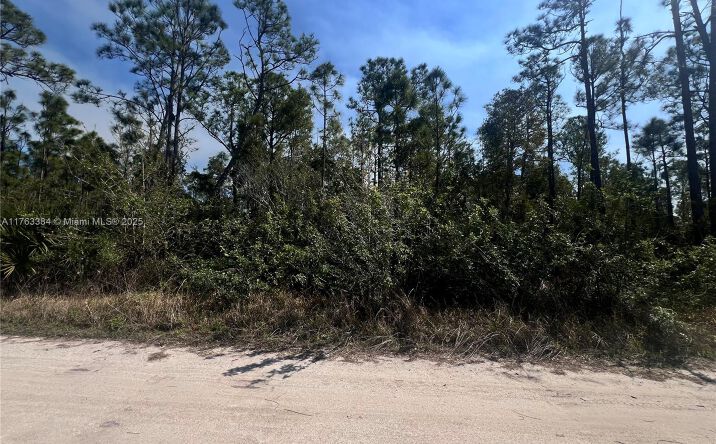 Pictures of Land property located at 8158 GEWANT BLVD, Punta Gorda, FL 33982 for sales - image #1