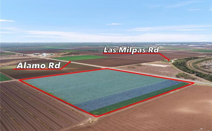 Pictures of Land property located at Fm 907, Alamo, TX 78516 for sales - image #1