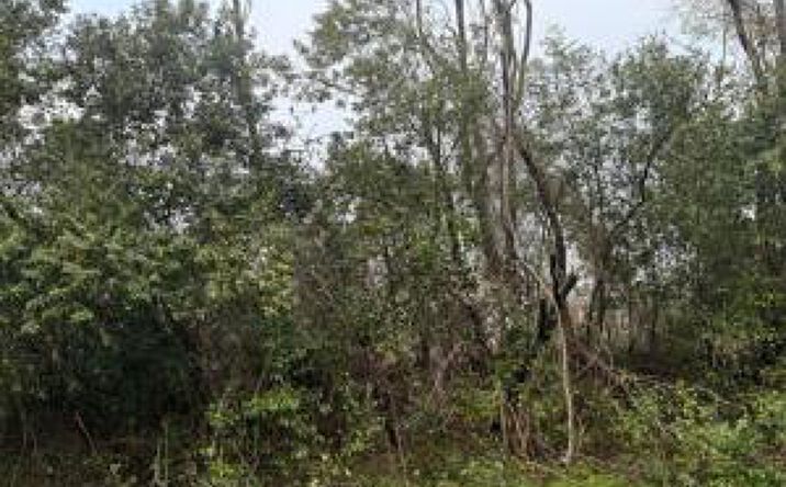 Pictures of Land property located at 0 Philpot Lane, North Augusta, SC 29841 for sales - image #1