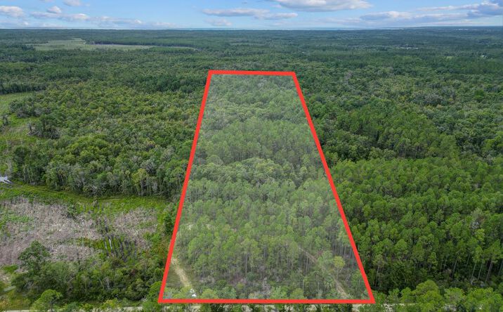 Pictures of Land property located at 0 SW 661st St, Steinhatchee, FL 32359 for sales - image #1