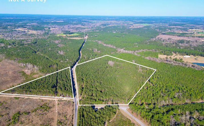 Pictures of Land, Multifamily property located at NHN Hwy 43, Poplarville, MS 39470 for sales - image #1