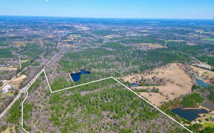 Pictures of Land property located at #3 Cowart Holliday, Poplarville, MS 39470 for sales - image #1