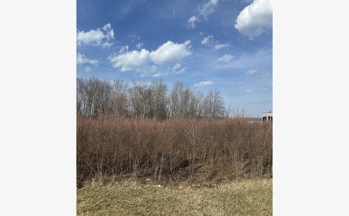 Pictures of Land property located at V/L Lost Nation Rd, Willoughby, OH 44094 for sales - image #1