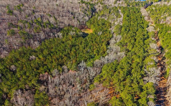 Pictures of Land property located at 2385 Nebula Rd., Warm Springs, GA 31830 for sales - image #1