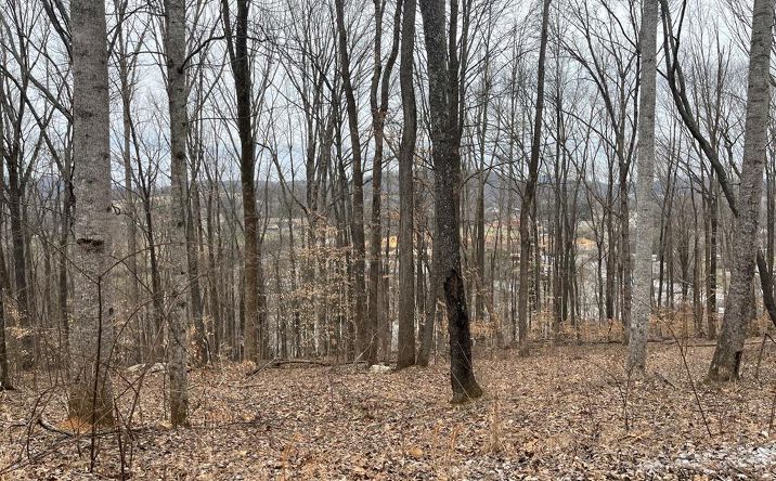Pictures of Land property located at 147 Chestnut Hill Rd, Livingston, TN 38570 for sales - image #1