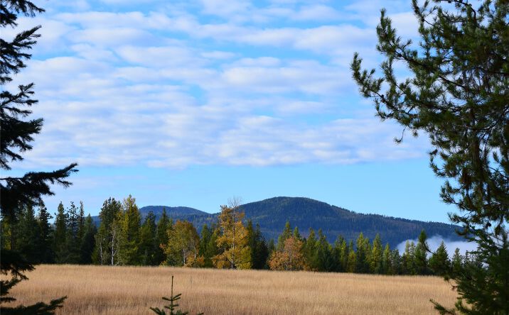 Pictures of Land property located at Nhn Timber Meadows Lane, Trout Creek, MT 59874 for sales - image #1