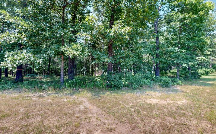 Pictures of Land property located at 00 Streetland Ln, Murray, KY 42071 for sales - image #1