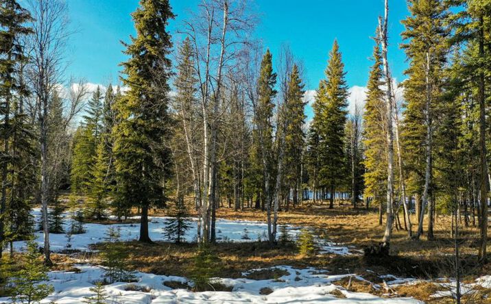 Pictures of Land property located at 37 Soaring Eagle Trail, Fortine, MT 59918 for sales - image #1