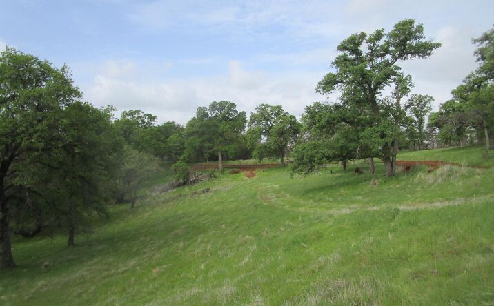 Pictures of Land property located at 22460 Ladan Lane, Grass Valley, CA 95949 for sales - image #1