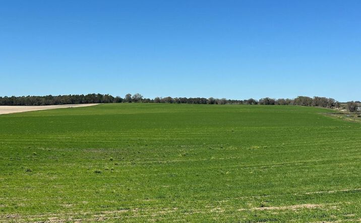 Pictures of Land property located at NW 225th Avenue, Dunnellon, FL 34431 for sales - image #1