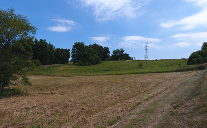 Pictures of Land property located at Mace Rd & Route 43, Carrollton, OH 44615 for sales - image #1