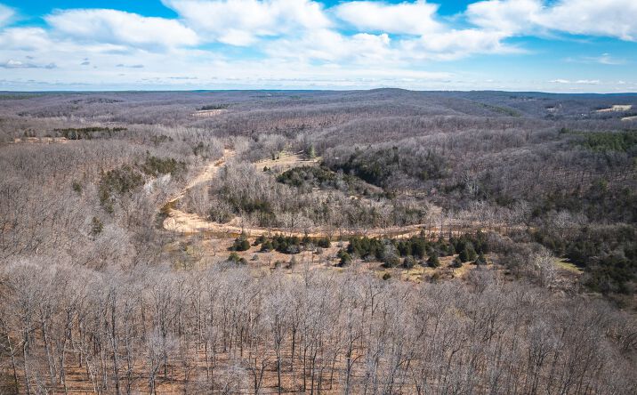 Pictures of Land property located at 98 acres off Highway Y, Courtois, MO 65565 for sales - image #1