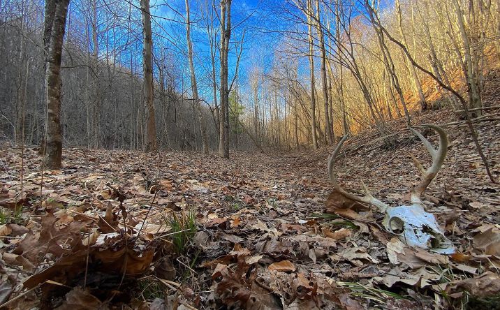 Pictures of Land property located at 0 Kelly Road, Ray, OH 45672 for sales - image #1