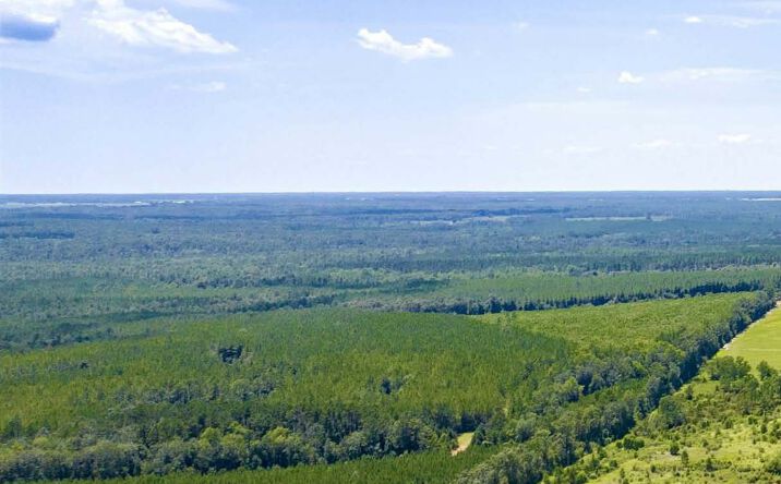 Pictures of Land property located at 31512 N River Rd, Loxley, AL 36551 for sales - image #1