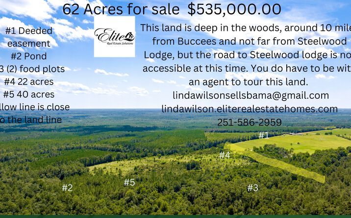 Pictures of Land property located at 31512 N River Rd, Loxley, AL 36551 for sales - image #1