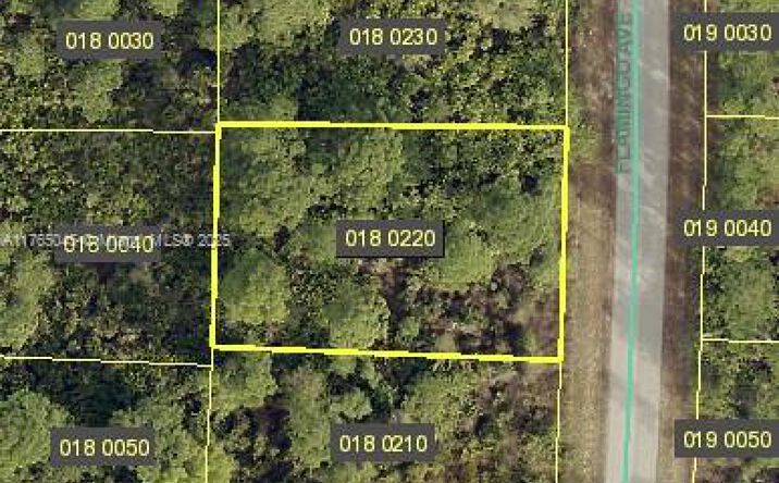 Pictures of Land property located at 512 Flamingo ave, Lehigh Acres, FL 33974 for sales - image #1