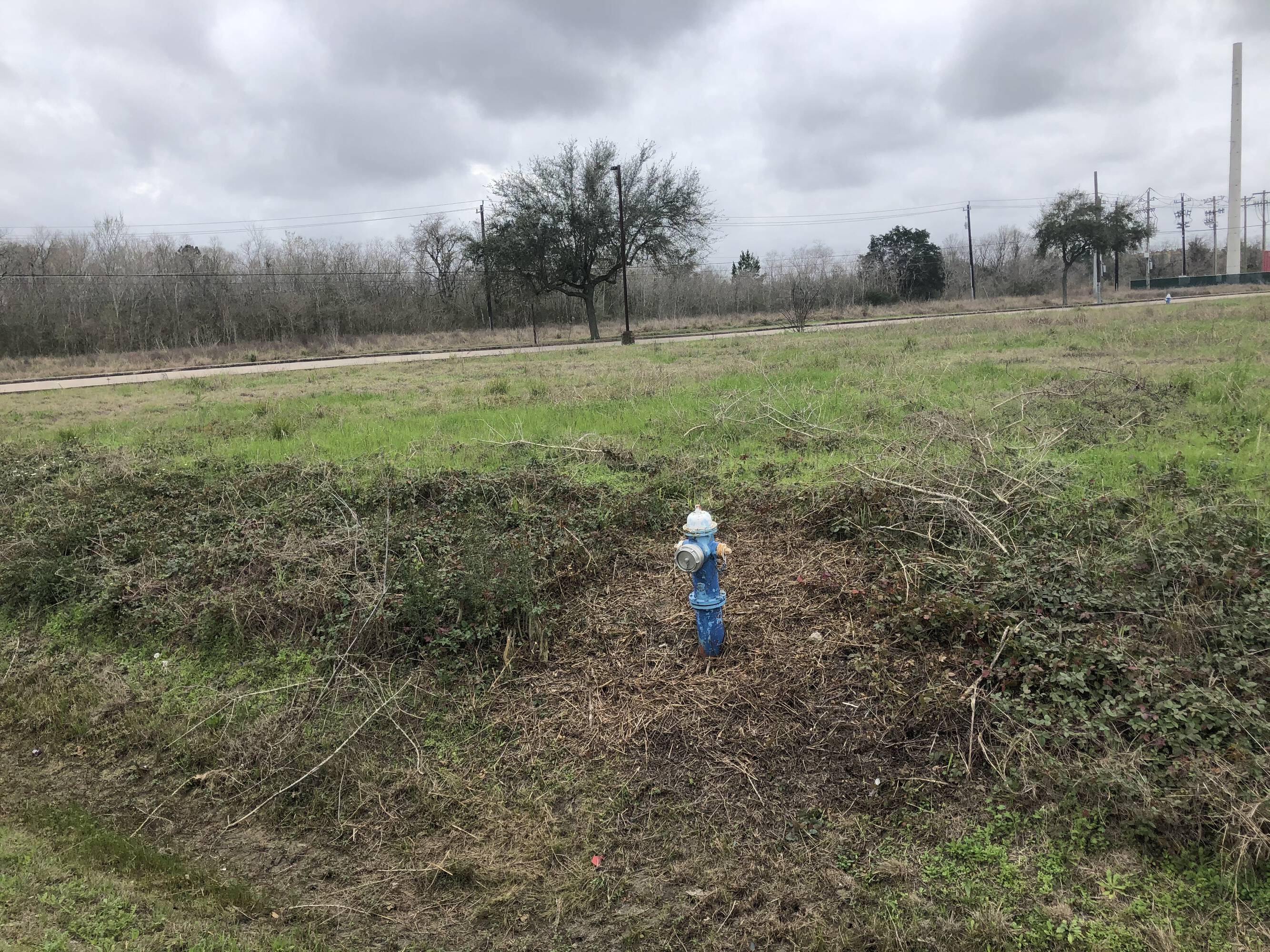 Open undeveloped land at 3200 Main St., Pearland, TX with natural vegetation and utility infrastructure in the background.