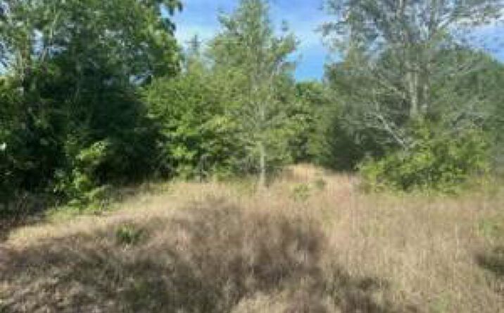 Pictures of Land property located at 00 Edgefield Highway, Trenton, SC 29847 for sales - image #1