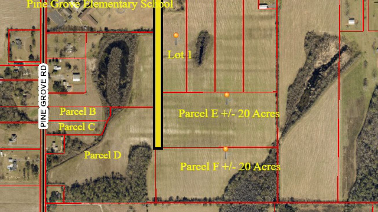 Pictures of Land property located at B&C Pine Grove Rd, Bay Minette, AL, USA, Bay Minette, AL 36507 for sales - image #1