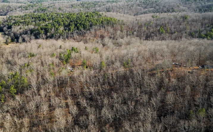Pictures of Land property located at TBD County Road 513, Winona, MO 65588 for sales - image #1