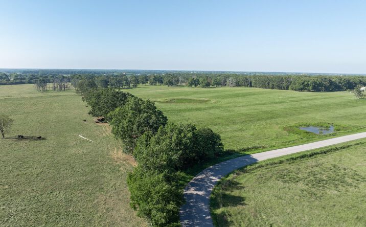 Pictures of Land property located at 2288 Red Oak Rd, Fordland, MO 65652 for sales - image #1