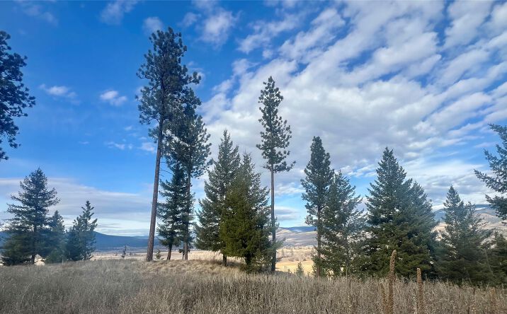 Pictures of Land property located at 27 Loberg Road, Plains, MT 59859 for sales - image #1