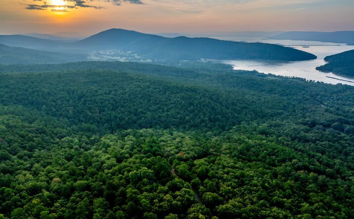 Pictures of Land, Business for Sale property located at Savage Rd, Clayton, USA 74536 for sales - image #1