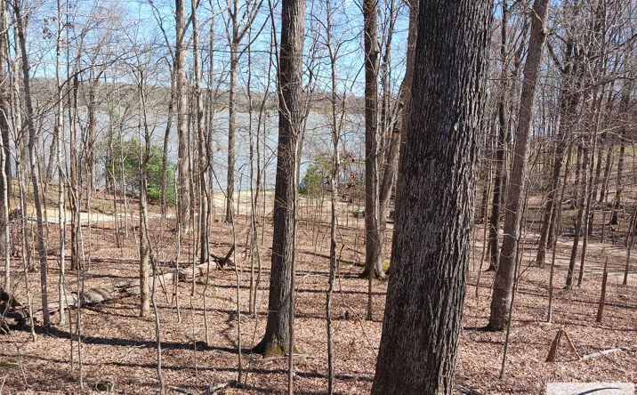 Pictures of Land property located at 440 Stirling Road, Camden, TN 38320 for sales - image #1