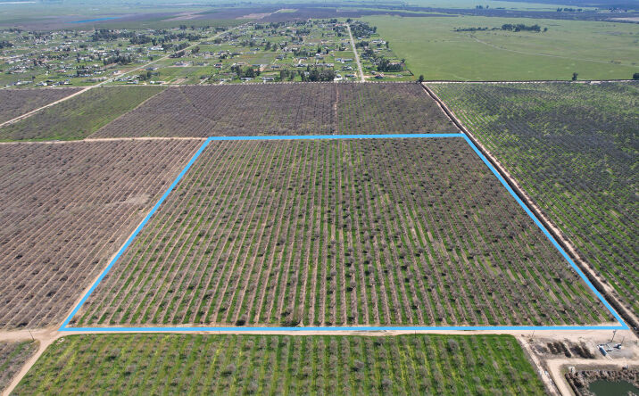 Pictures of Land property located at Avenue 20, Madera, CA 93638 for sales - image #1
