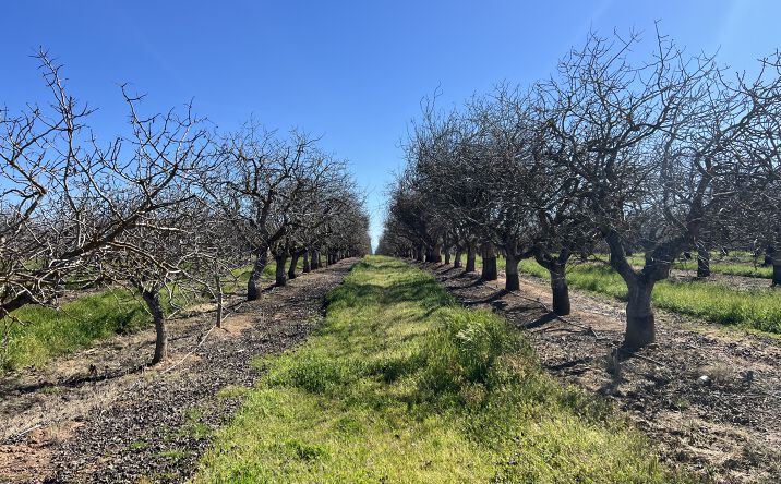 Pictures of Land property located at Ave 20 1/2, Madera, CA 93610 for sales - image #1