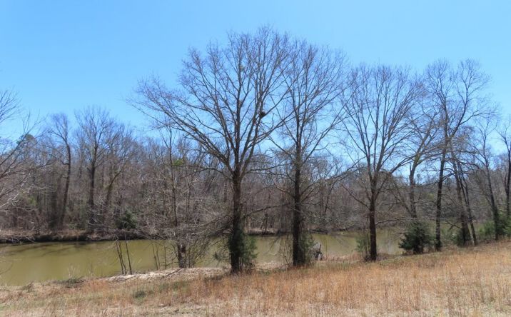 Pictures of Land property located at Mellrich Road, Iva, SC 29655 for sales - image #1