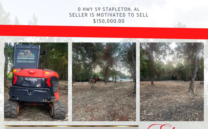 Pictures of Land property located at 0 State Hwy 59 Stapleton, Stapleton, AL 36578 for sales - image #1