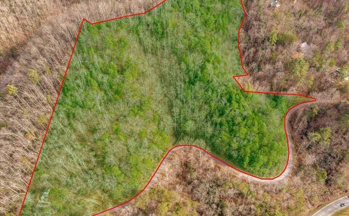 Pictures of Land property located at Lot Tr1r S King Branch Road, Sevierville, TN 37876 for sales - image #1