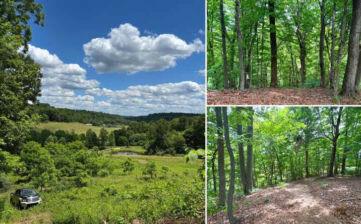 Pictures of Land property located at 34773 SR 681 Road, Albany, OH 45710 for sales - image #1