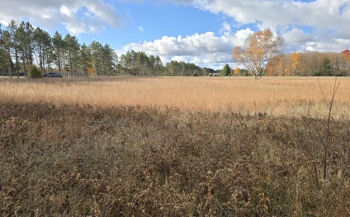 Pictures of Land property located at 1980 & 2022 US-131, South Boardman, MI, USA, South Boardman, MI 49680 for sales - image #1