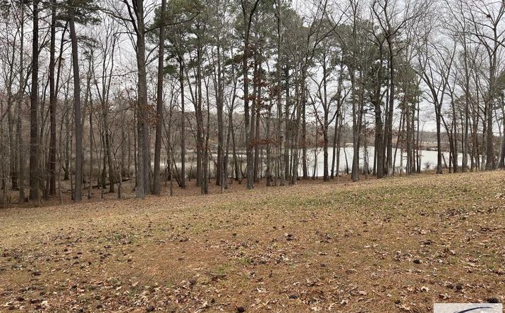 Pictures of Land property located at 00 Catfish Drive, Buchanan, TN 38222 for sales - image #1