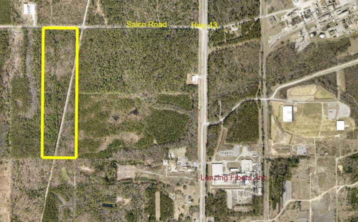 Pictures of Land property located at Salco Rd W, Axis, AL 36505 for sales - image #1