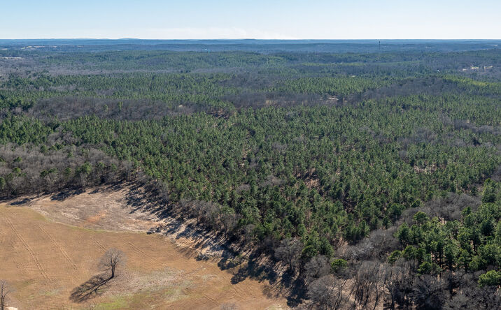Pictures of Land property located at TBD Highway 64 Ben Wheeler TX, Ben Wheeler, TX 75754 for sales - image #1