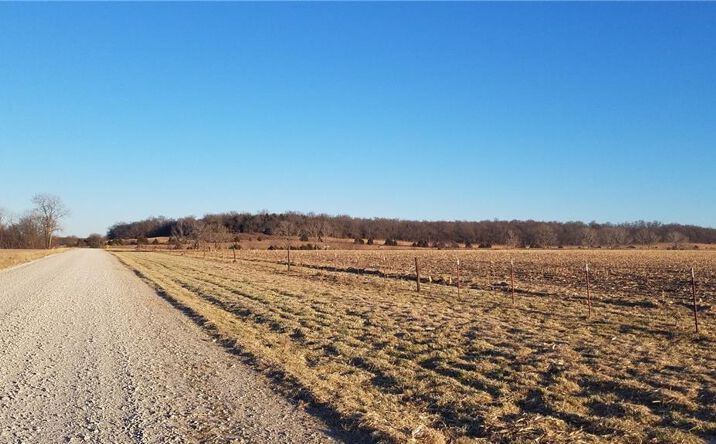Pictures of Land property located at Lone Elm Road, Paola, KS 66071 for sales - image #1