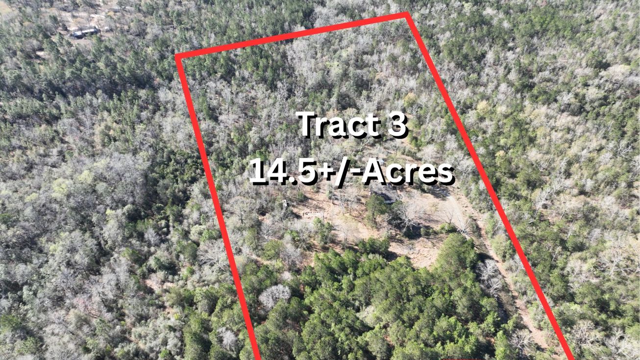 Pictures of Land property located at 15690 Sandy Ridge Rd, Chunchula, AL 36521 for sales - image #1