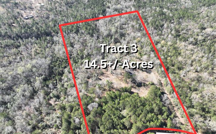 Pictures of Land property located at 15690 Sandy Ridge Rd, Chunchula, AL 36521 for sales - image #1