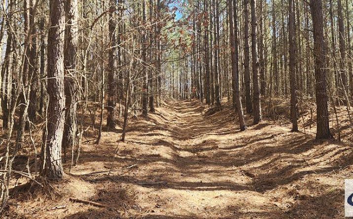 Pictures of Land property located at 000 Off Williams Grove Rd, Camden, TN 38320 for sales - image #1