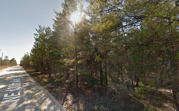 Pictures of Land property located at Lot 3 NE 130th Ave, Williston, FL 32696 for sales - image #1