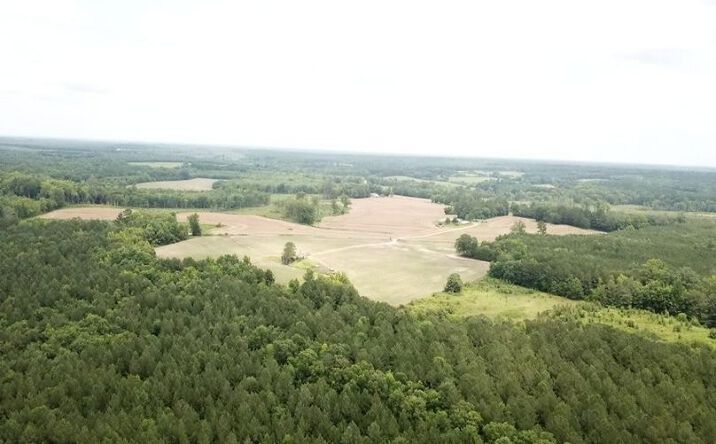 Pictures of Land property located at 16787 Red Bud Rd, Castalia, NC 27816 for sales - image #1