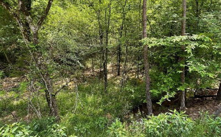Pictures of Land property located at 675 Timber Creek Trails South Xl, Broken Bow, OK 74728 for sales - image #1