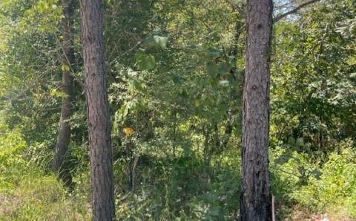 Pictures of Land property located at 608 Timber Creek, Broken Bow, OK 74728 for sales - image #1