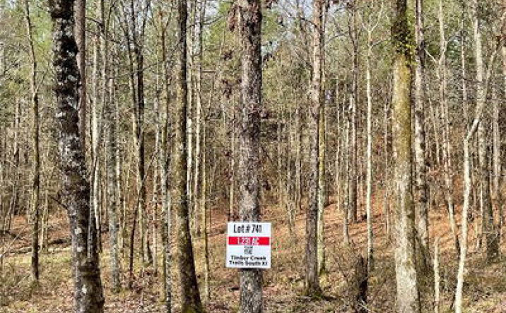Pictures of Land property located at 741 Timber Creek Trails South Xl, Broken Bow, OK 74728 for sales - image #1