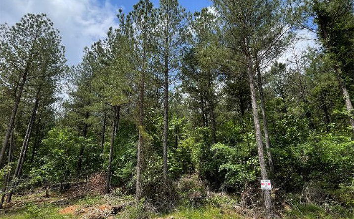 Pictures of Land property located at 683 Timber Creek Trails South Xl, Broken Bow, OK 74728 for sales - image #1